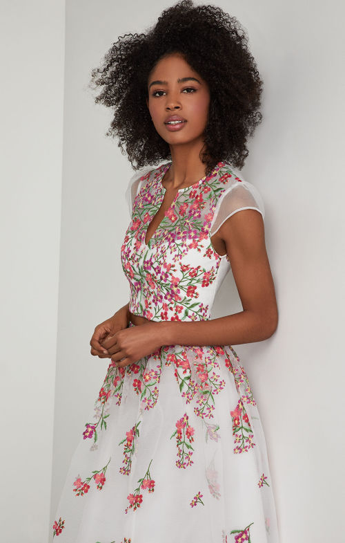 bcbgmaxazria floral embroidered evening dress